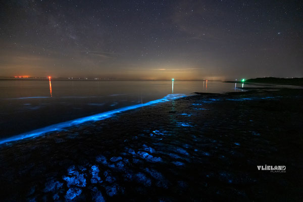 Zeevonk al over, mei 25