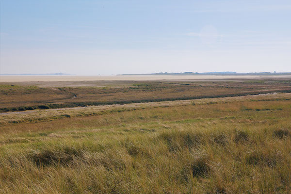 Zicht over het Wad tot Texel en langs de Vliehors Vlieland