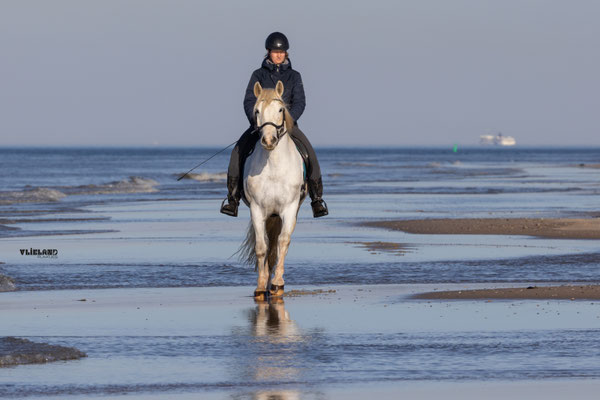 Paardrijden op het Noordzeestrand (2), april 2026