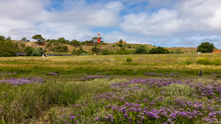 Lamsoor en Vuurtoren, juli 2025