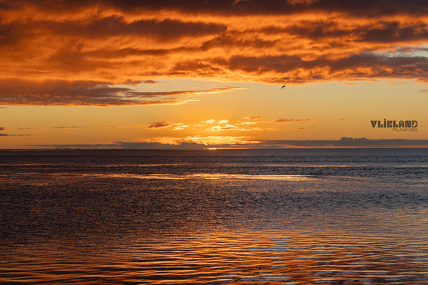 Rise and Shine, 11 januari 2025