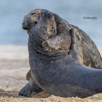 Nek in de Bek, jan 2025