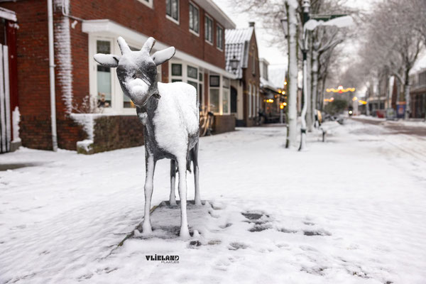 Geit Dorpsstraat van Peter Petersen, 9 januari 2026
