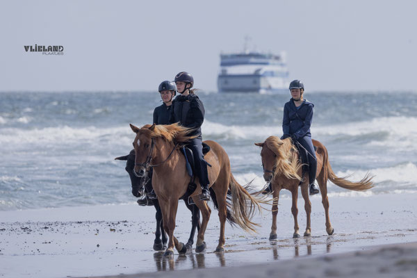 Ruiters op het strand, aug 2025