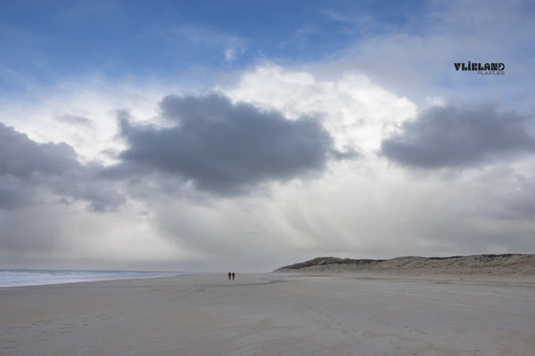 Hagelbui, maart 2026
