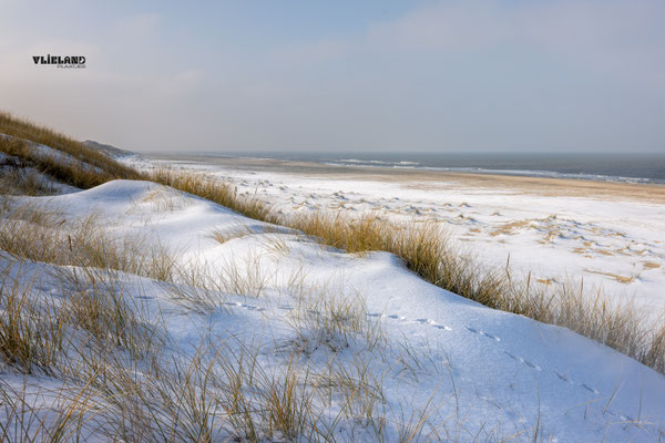 Wit Noordzeestrand 30 januari 2026 (II)