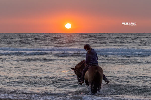 Zonsondergang te paard, 9 aug 2025