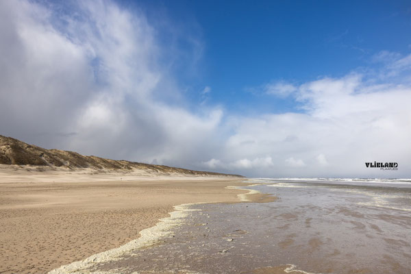 Maart roert zijn staart, maart 2026