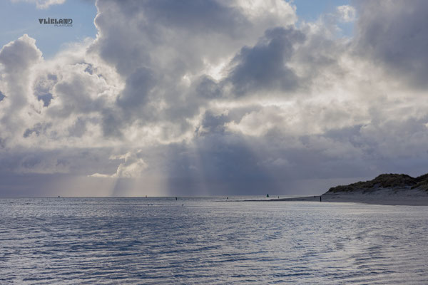 Harpen boven zee bij Oost, okt 2025