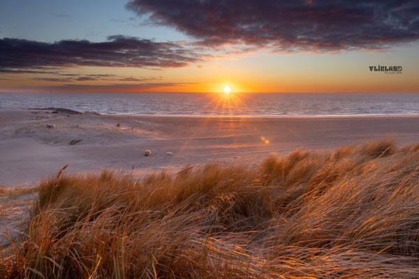 Zeehonden Helmgras en Zonsopkomst 24 december 2025