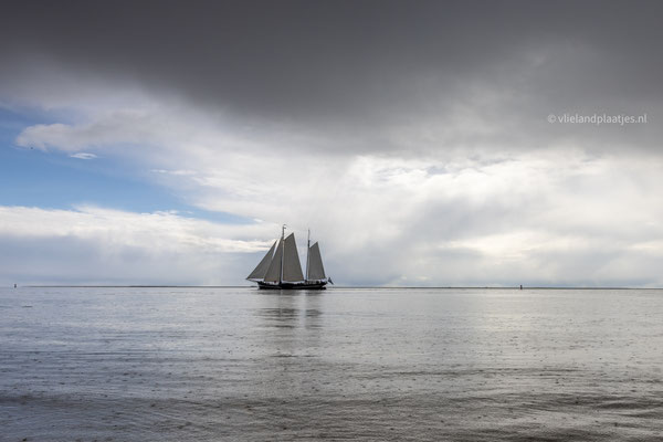 Klipper in de regen, apr 24