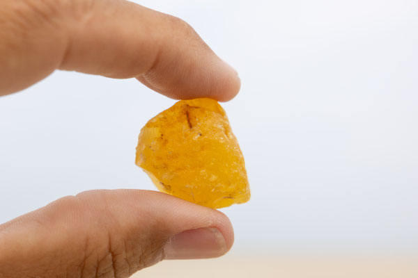 Barnsteen, strandvondst juli 2025