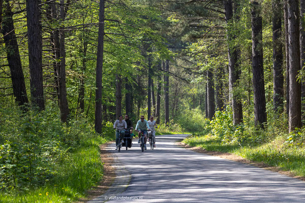 Fietsen door Bomenland, mei 24