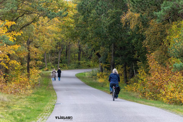 Herfst in Bomenland, okt 2025 (II)