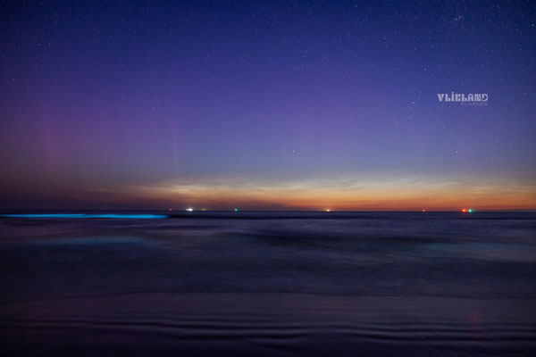Subtiel Noorderlicht in combinatie met Zeevonk en Lichtende nachtwolken ! 3 juni 25 II