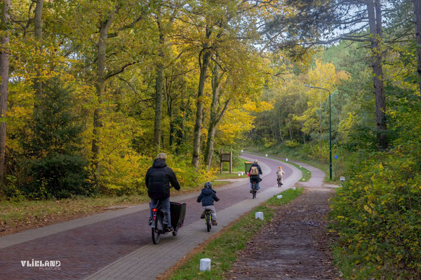 Herfst op de Badweg, okt 2025