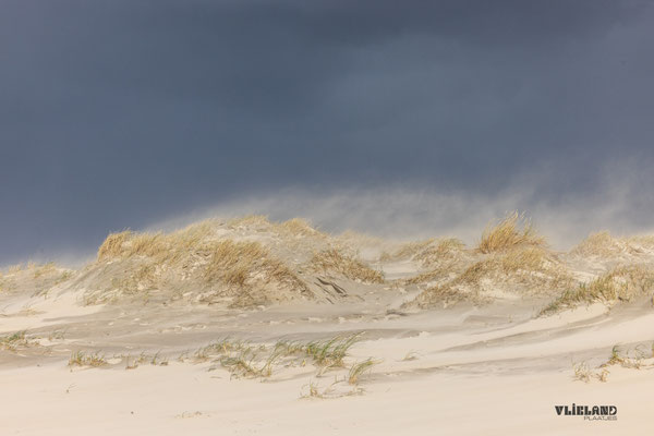 Stuifduinen, 4 okt 2025