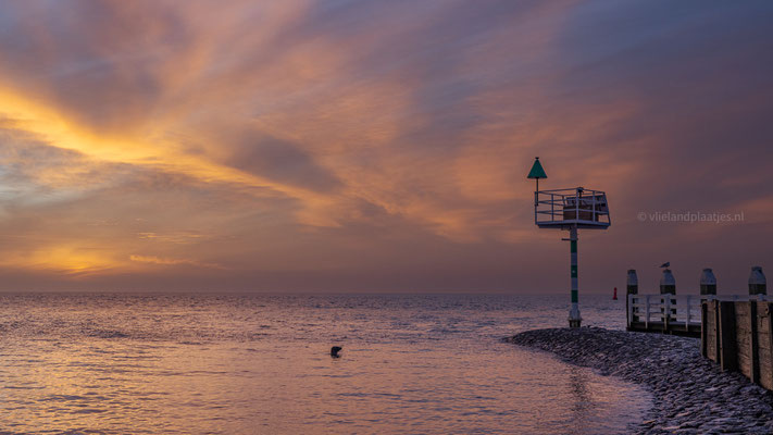 Zonsopgang met Zeehond, januari 2024