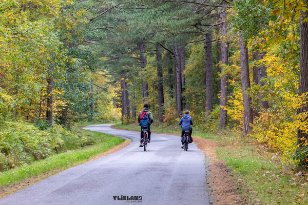 Herfst in Bomenland, okt 2025