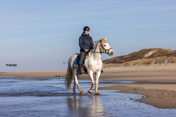 Paardrijden op het Noordzeestrand (1), april 2026