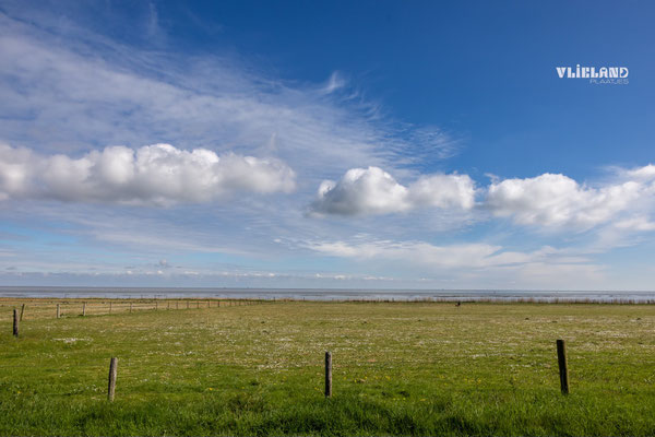 Westerse veld, april 2025
