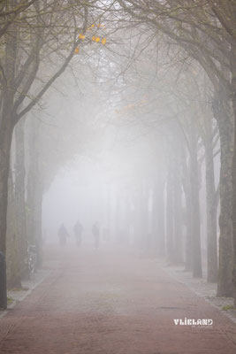 Dorpsstraat in de mist, november 2025 (4)