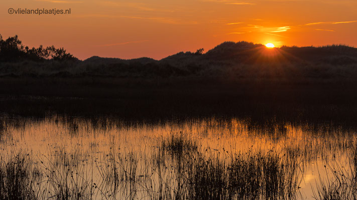 Zonsonder, Rug van het Veen 10 maart 2022