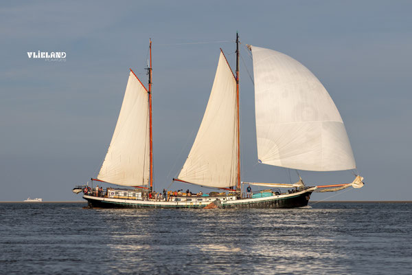 Klipper Bontekoe op spinaker, juli 2025