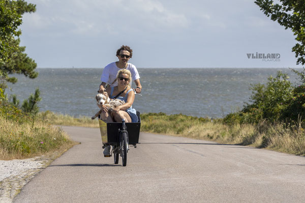 Met hond in de bakfiets, aug 24