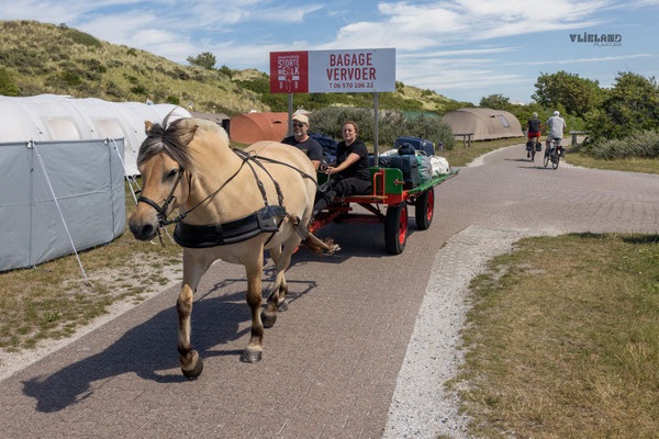 Bagage te paard op Camping Stortemelk, augustus 2025