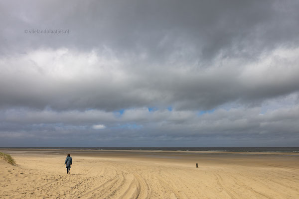 Het begin van opklaringen met wandelaar, april 2024