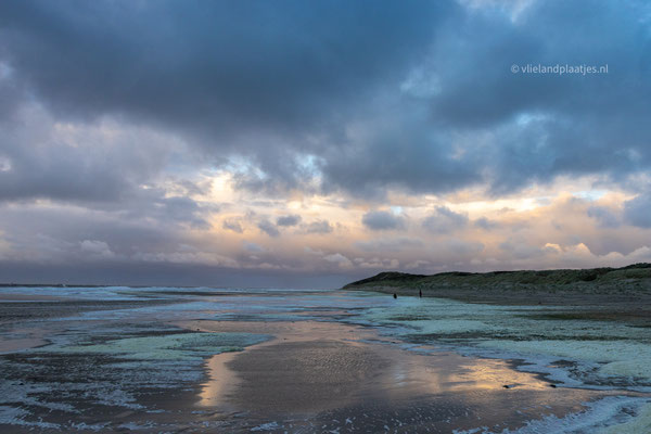 Bronstint vlak voor zonsondergang Noordzeestrand apr 24