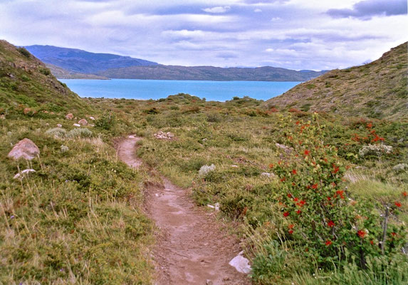 Umrundung des Torres del Paine NP