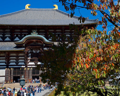 Der Tōdai-ji in Tempel in Nara 