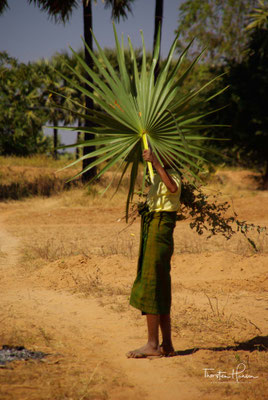 Zur Lokalisierung von großer Macht kam es in Bagan jedoch erst mit der Thronbesteigung König Anawrahtas (auch Anuruddha) im Jahre 1044. 