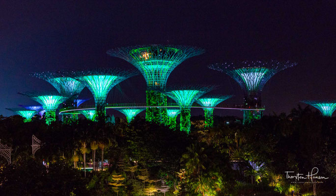 Gardens by the Bay ist Teil einer Strategie der Regierung des Stadtstaats Singapur, mit welcher die Gartenstadt in eine Stadt im Garten umgewandelt werden soll, damit die Lebensqualität der Einwohner durch Grünzüge verbessert werden kann