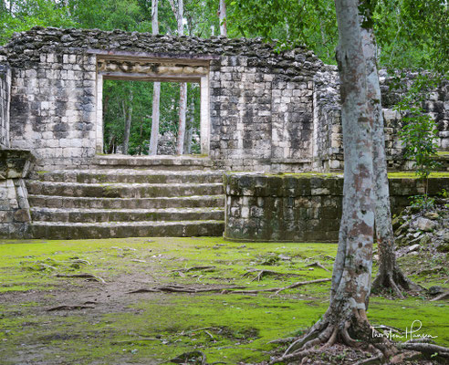 Balamkú ist eine eher kleine Ruinenstadt der Maya im Umfeld von Calakmul