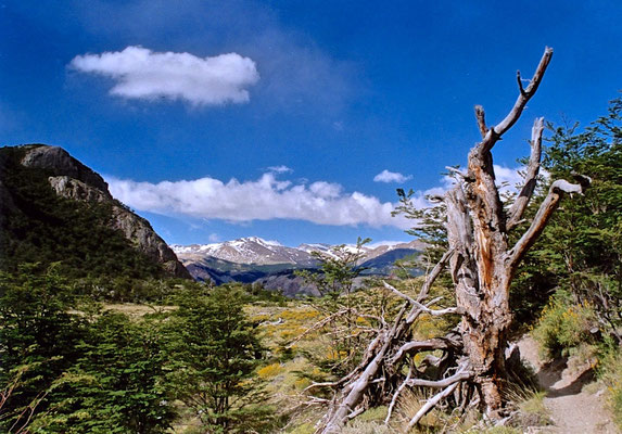 Parque Nacional Los Glaciares