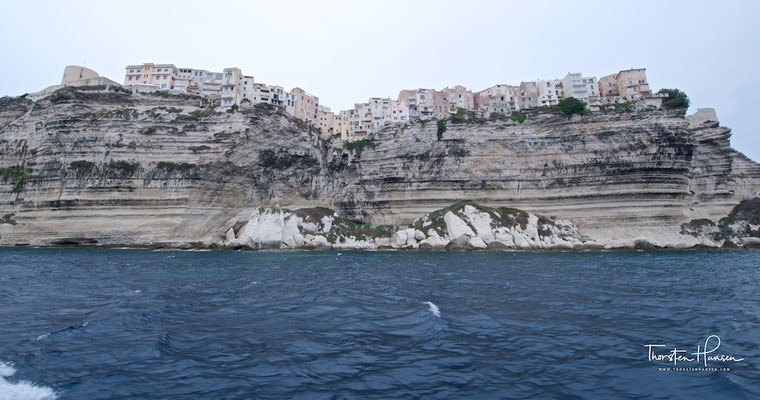Bonifacio