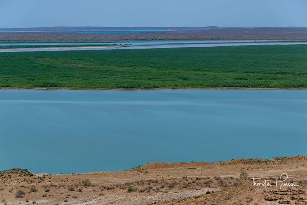Der Amudarja oder Amudarya, in der Antike Oxus, ist ein Fluss im westlichen Zentralasien. Die Länge betrug ehemals 1415 km, gemessen von der Vereinigung der beiden Quellflüsse bis zur Mündung in den Aralsee. 