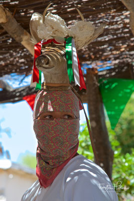 Rotwildtanz der Mayo Indianer