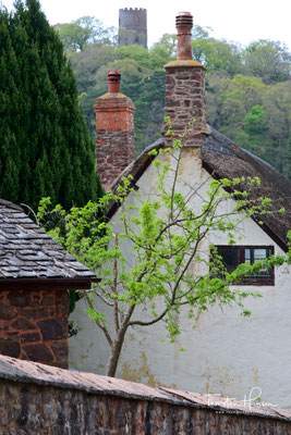 Dunster 