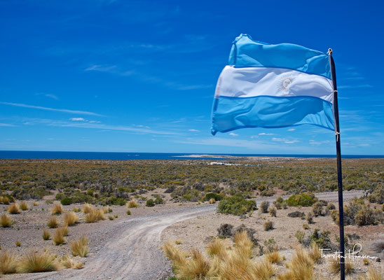 Punta Tombo ist ein Tierschutzreservat in der argentinischen Provinz Chubut an der Atlantikküste