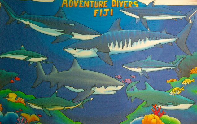 Beqa Bad Shark Dive