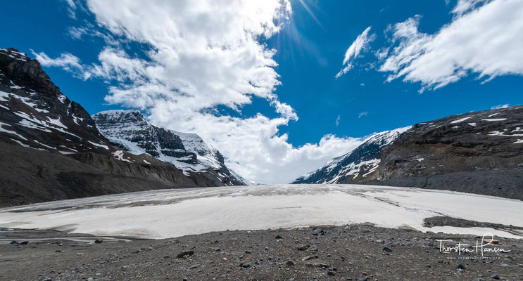 Seine Fläche beträgt 325 km², die Dicke 100 bis 365 m und die jährliche Schneefallmenge bis zu sieben Meter.  Das Eisfeld ist das Nährgebiet von acht großen Gletschern, darunter der Athabasca-, der Castleguard-, der Columbia und der  Domegletscher