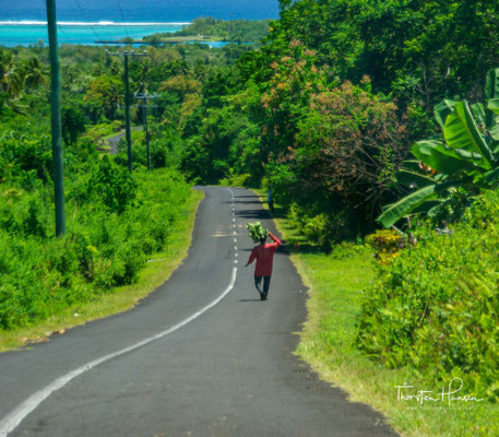Willkommen auf der Insel Savai´i