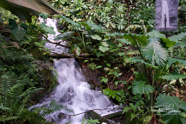 Botanischer Garten Eden Projekt