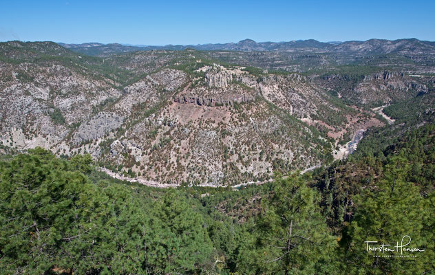 Die Sierra Madre Occidental in der Nähe der Kupferschlucht