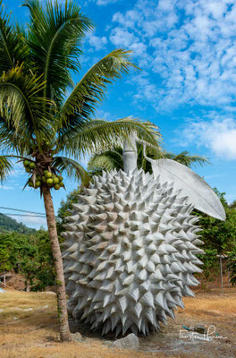 Weitere landwirtschaftliche Produkte sind vor allem die wegen ihres Geruchs berüchtigte Durian sowie Rambutanfrüchte (Thai: Ngo, เงาะ Aussprache: [ŋɔ́ʔ]).