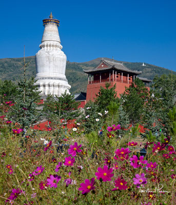Nanshan Si Tempel - Wutai Shan „Fünf-Terrassen-Berg“ einer der heiligen Berge des Buddhismus